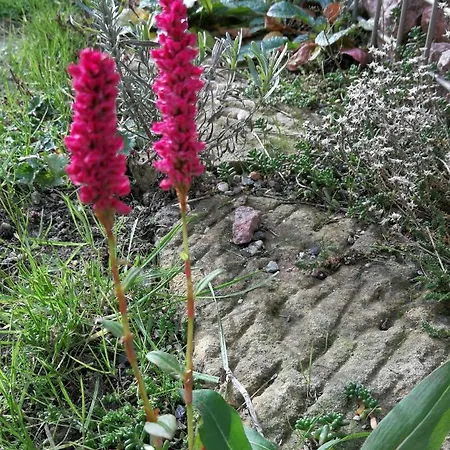 Nyaraló Ferien In Der Alten Scheune