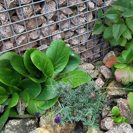 Ferienhaus Ferien In Der Alten Scheune *